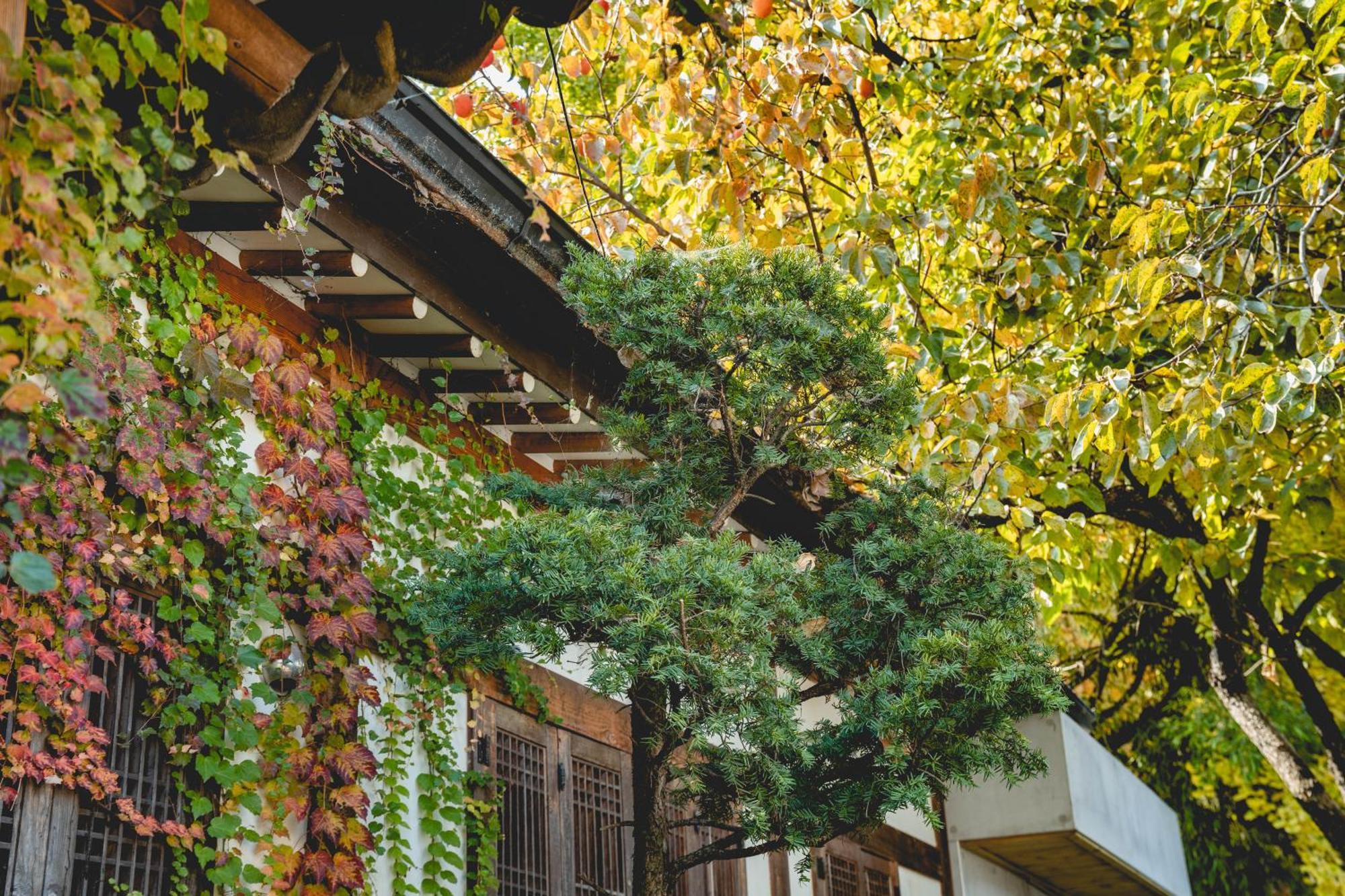 Hotelarrive Jeonju Sihwayeonpung Dış mekan fotoğraf